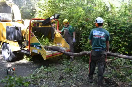 tree services Canby